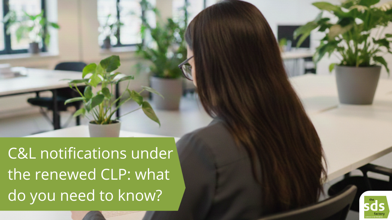 A person is standing with their back to the camera in a modern, brightly lit office building. The person is reading a document they are holding in their hands. The title of the document is 'C&L notifications under the renewed CLP: what do you need to know?'